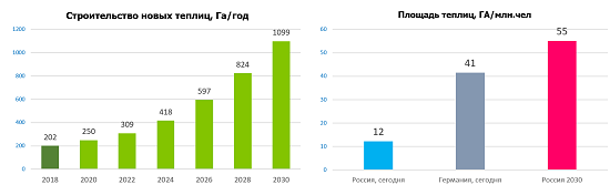 Строительство новых теплиц в России в 2017-2030 г.г. Площадь тепличных хозяйств 2019-2030 г.г. Штоллер консалтинг. www.teo.ru